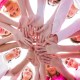 Dance teacher purpose
