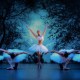 Melbourne Ballet Company in 'Archè'. Photo by Taylor-Ferné Morris.